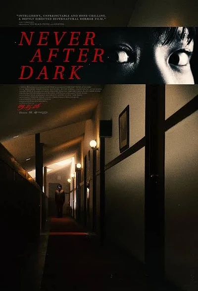 Image: Never After Dark